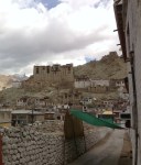 20130707-130334.jpg